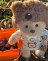 Billy The Brown Bear