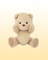 Cute Brown Getahug Bear | Teddy Bear